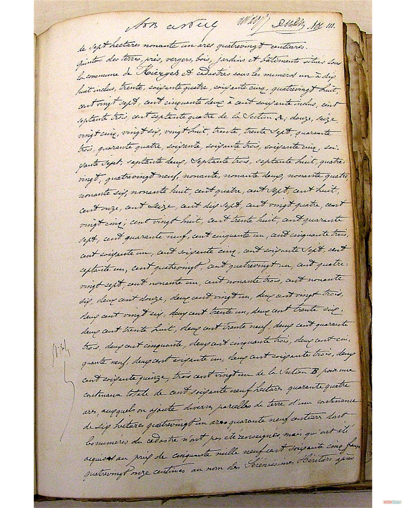 agr-1861-acte partage arenberg (150)