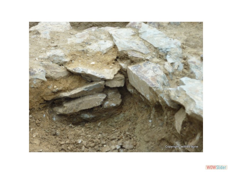 fouilles 2010 (38)