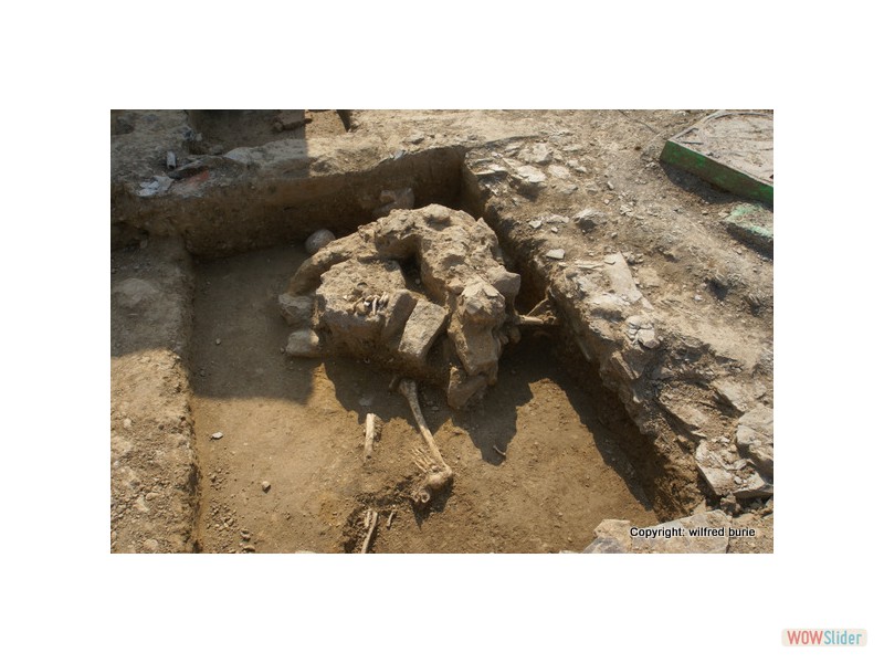 fouilles 2010 (43)